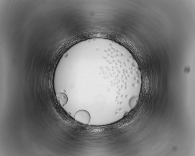 X0000098040594200804181258