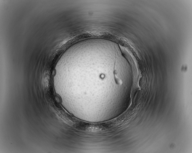 X0000098040596200804181258