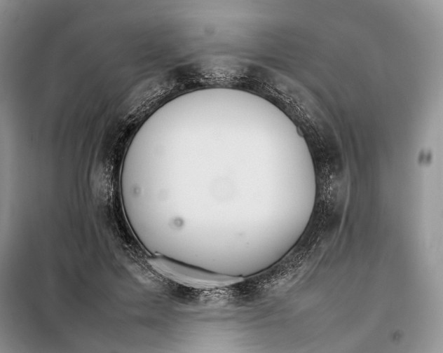 X0000098040599200804181258