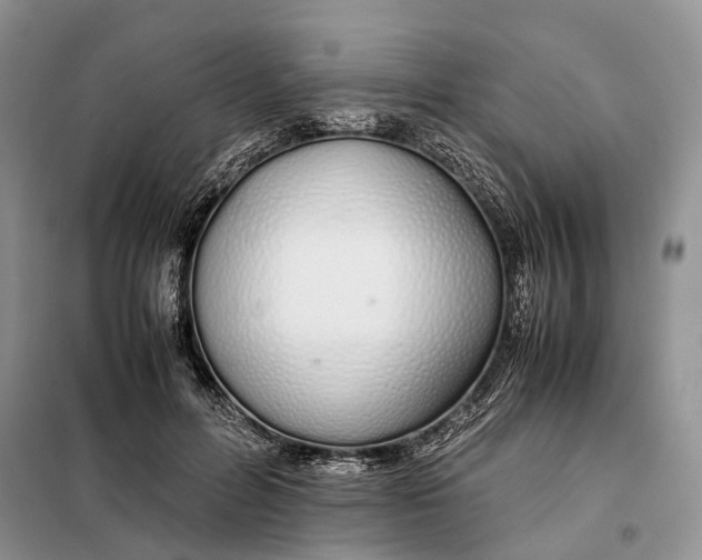 X0000098040600200804181258