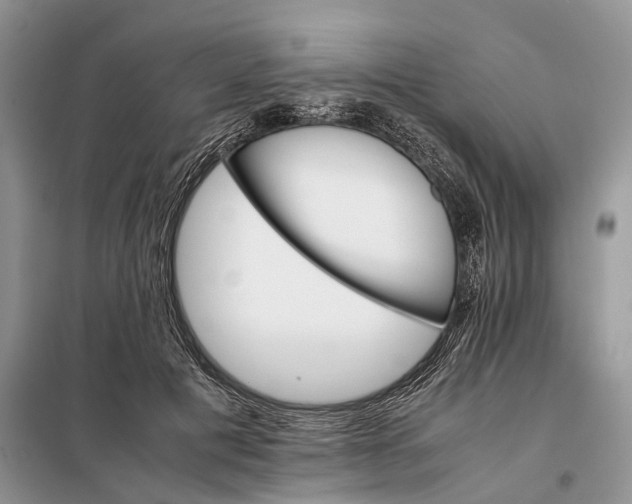 X0000098040601200804181258