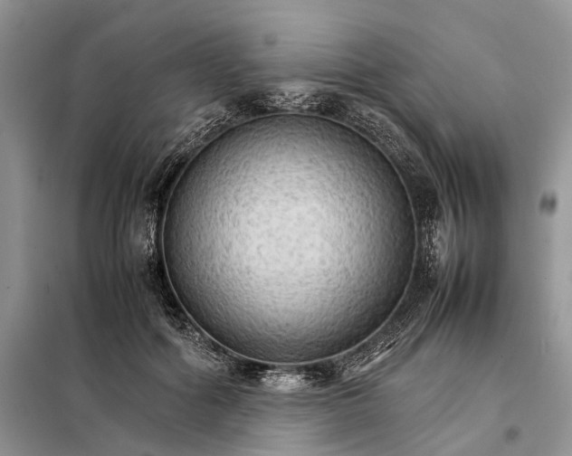 X0000098040602200804181258