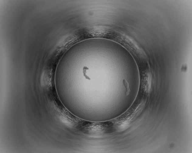 X0000098040604200804181258