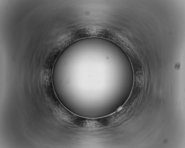 X0000098040605200804181258