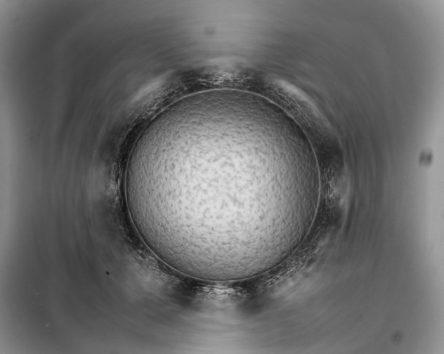 X0000098040607200804181258