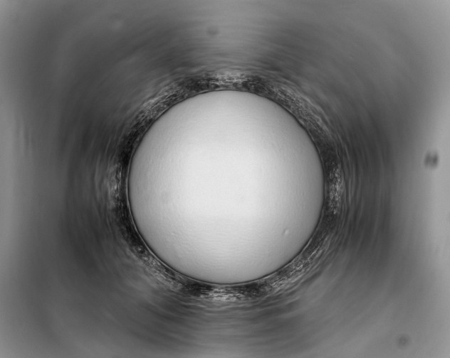 X0000098040608200804181258