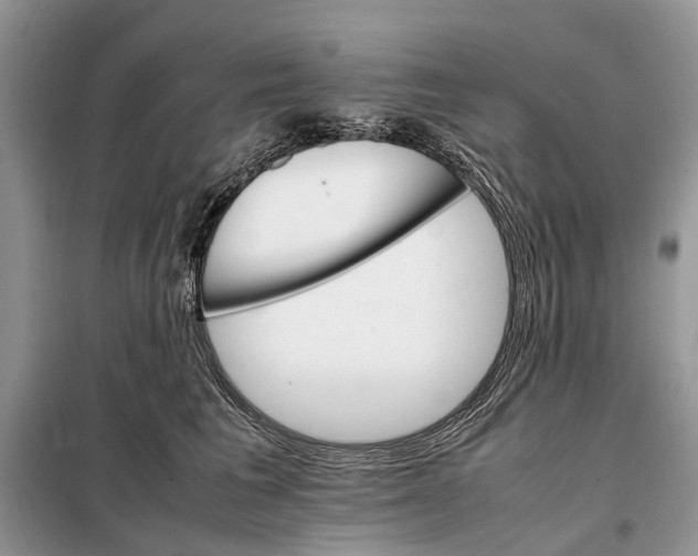 X0000098040613200804181258