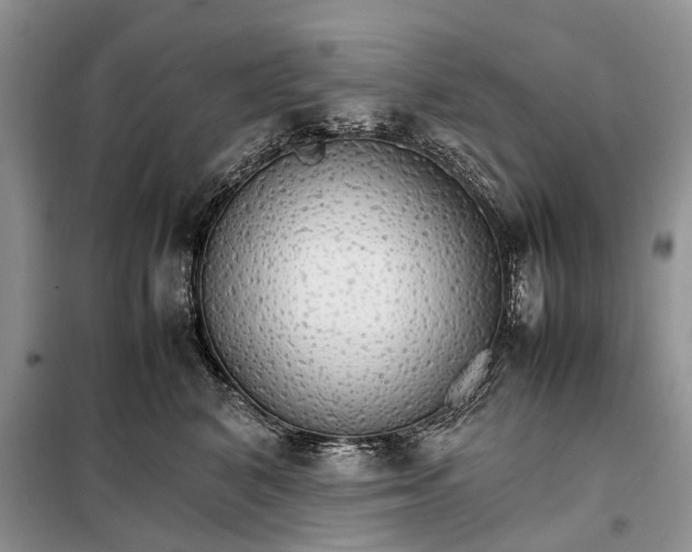 X0000098040616200804181258