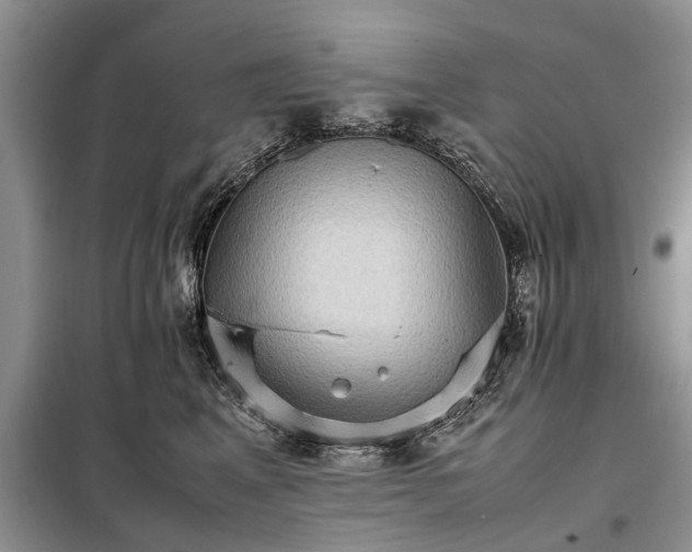 X0000098040617200804181258