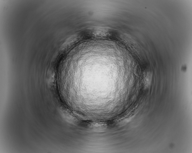 X0000098040619200804181258