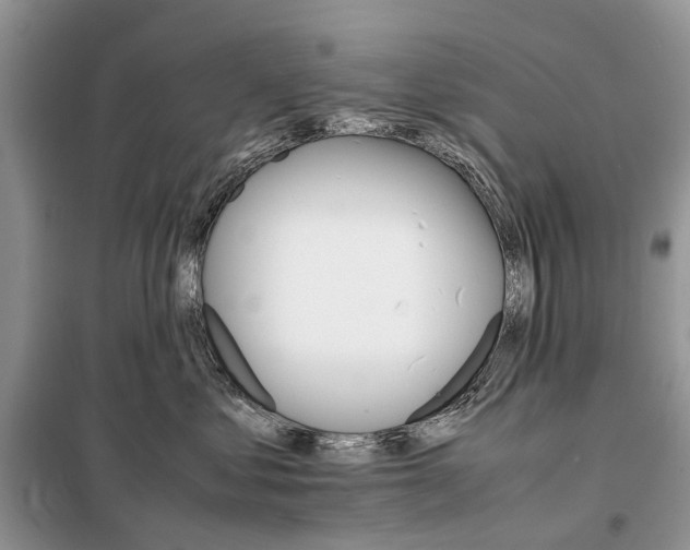 X0000098040621200804181258