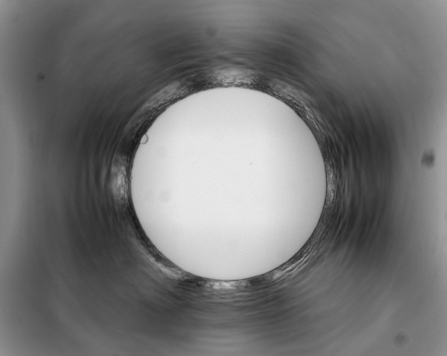 X0000098040622200804181258