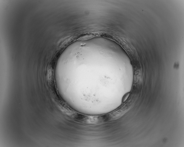 X0000098040623200804181258