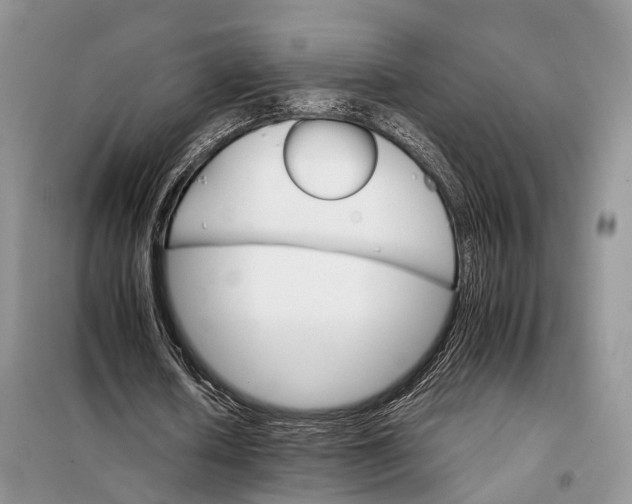 X0000098040626200804181257