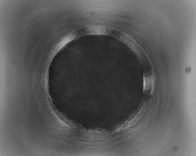 X0000098040627200804181257