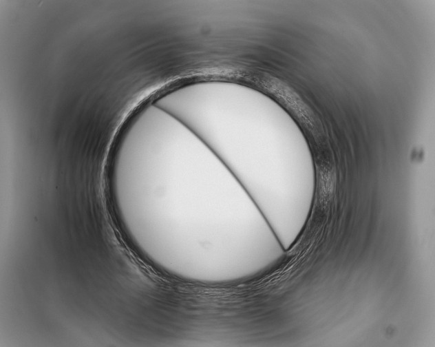 X0000098040628200804181257