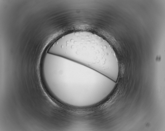 X0000098040630200804181257