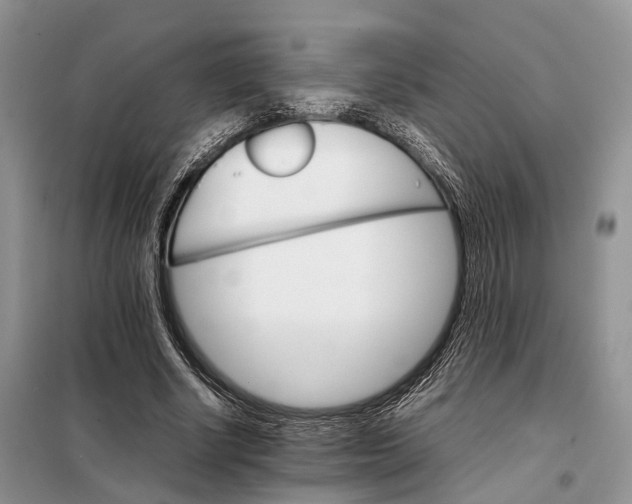 X0000098040634200804181257