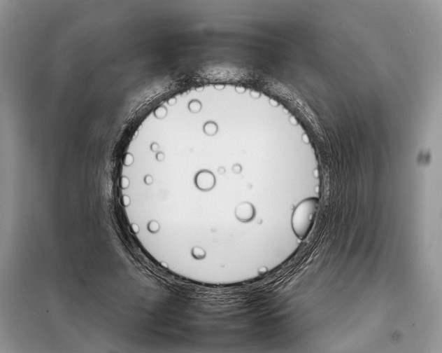 X0000098040635200804181257