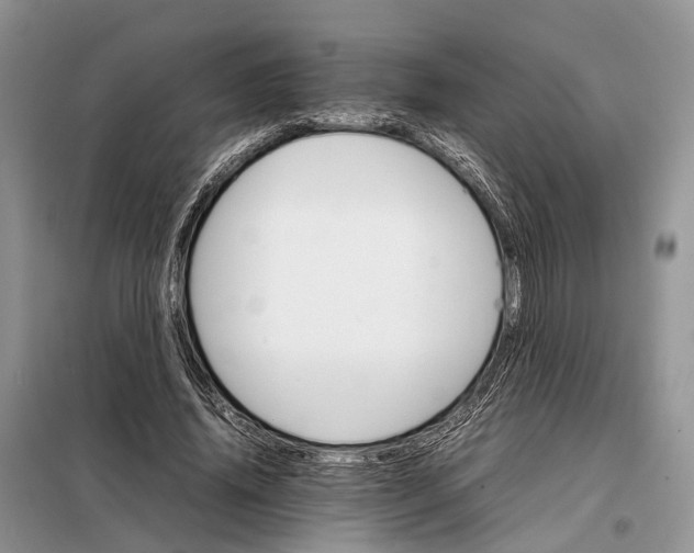 X0000098040636200804181257