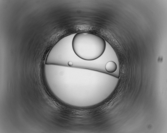 X0000098040639200804181257