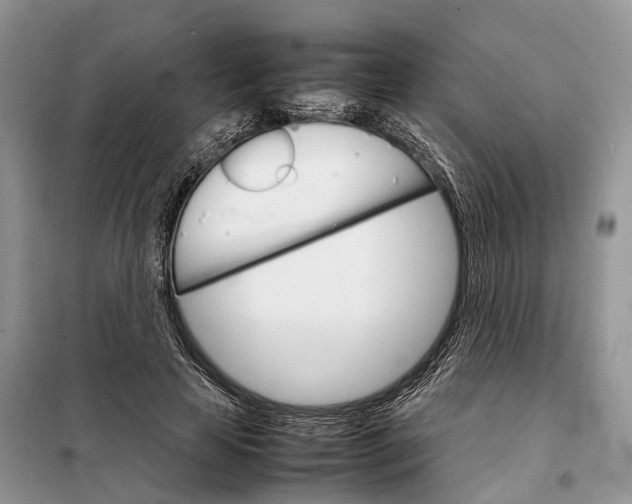 X0000098040641200804181257