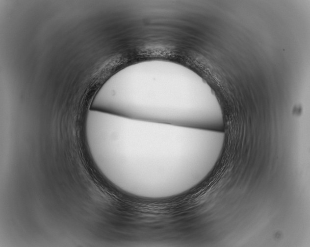 X0000098040643200804181257