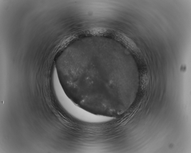 X0000098040644200804181257