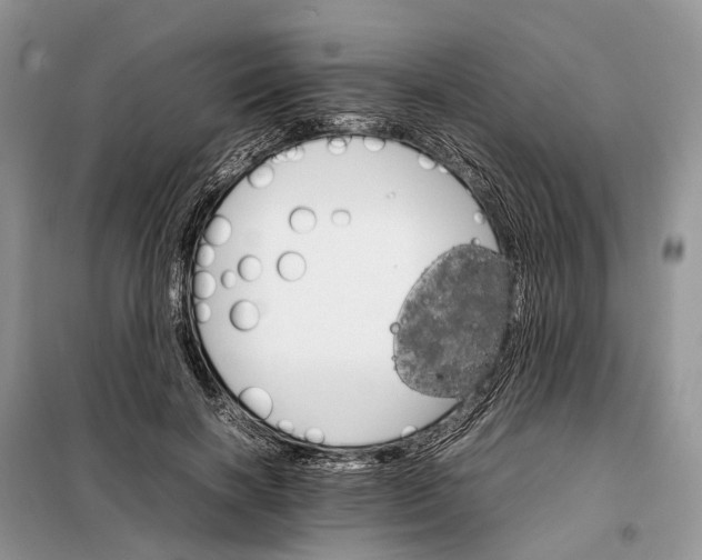 X0000098040646200804181257