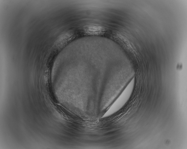 X0000098040647200804181257