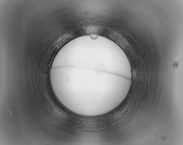 X0000098040648200804181257