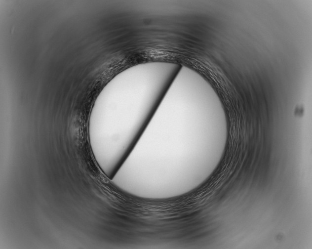 X0000098040653200804181257