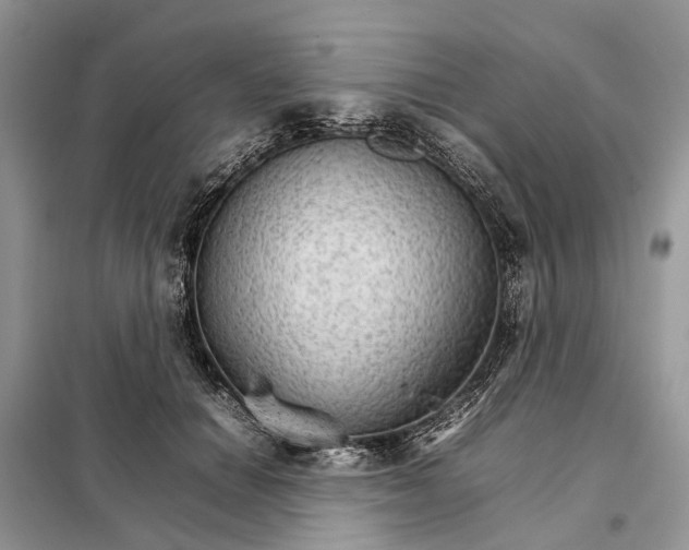 X0000098040654200804181257