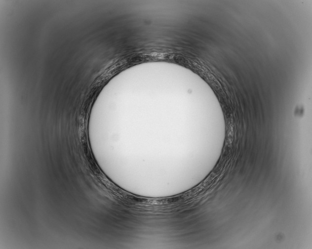 X0000098040656200804181257