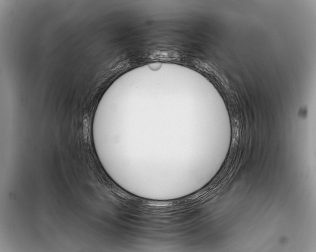 X0000098040659200804181257