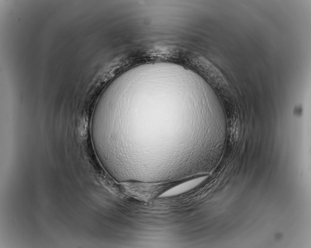 X0000098040660200804181257