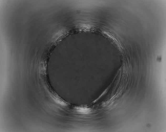 X0000098040661200804181257