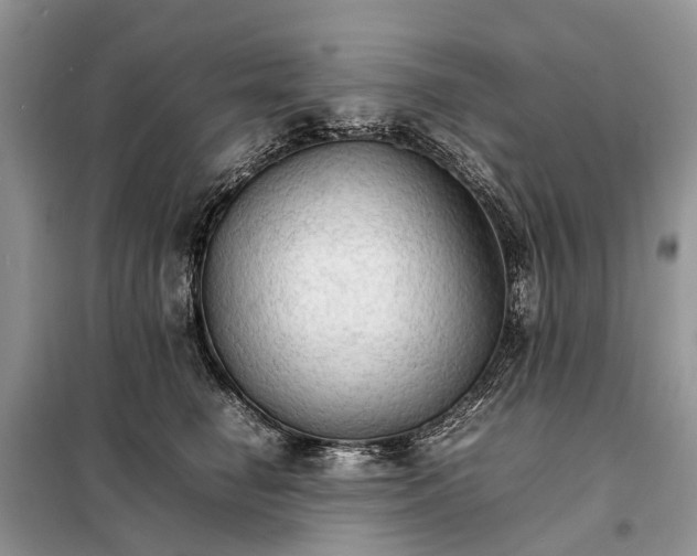 X0000098040662200804181258