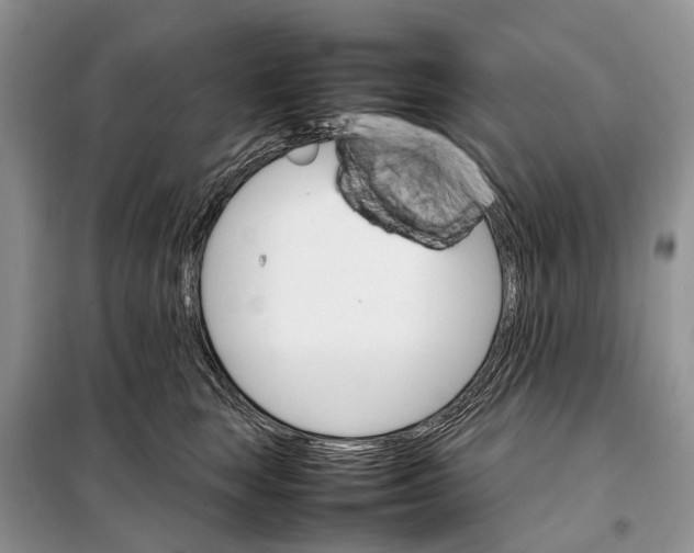 X0000098040663200804181258