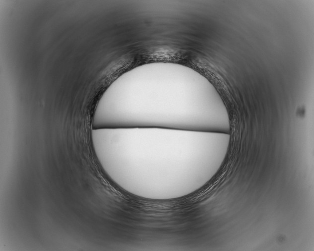 X0000098040665200804181258