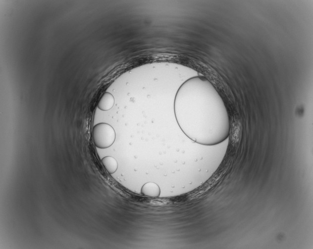 X0000098040666200804181258