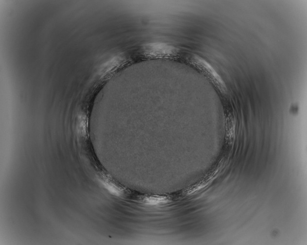 X0000098040669200804181258