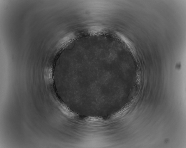 X0000098040670200804181258