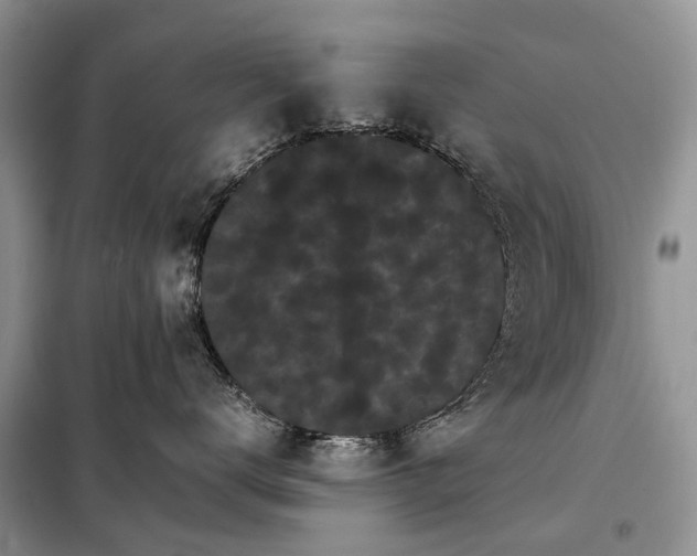 X0000098040672200804181258