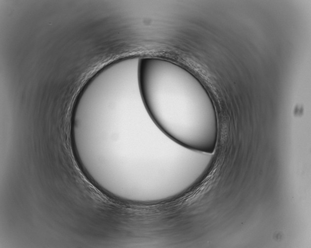 X0000098040673200804181257