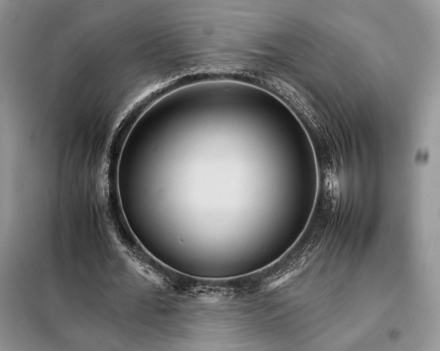 X0000098040676200804181257