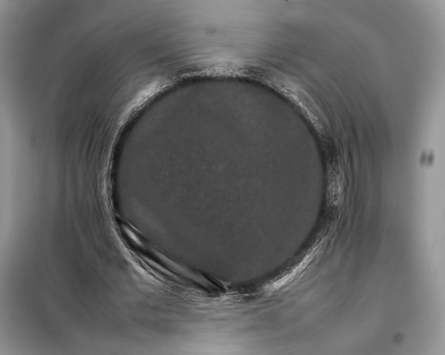 X0000098040677200804181257