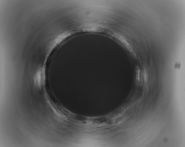 X0000098040678200804181257