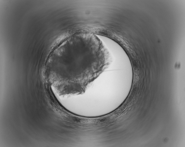 X0000098040679200804181257