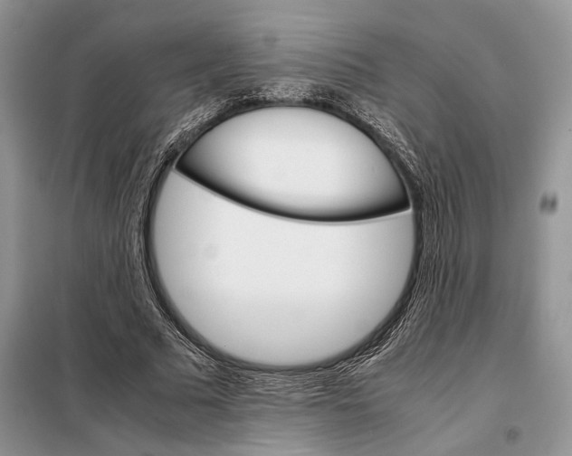 X0000098040681200804181257